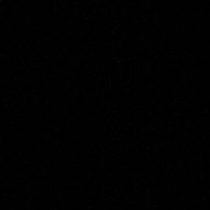 Meet your Posher, Lily